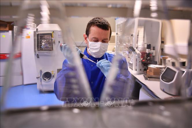 Việt Nam sẽ thử nghiệm giai đoạn 1 vaccine Covid-19 từ ngày 10-12